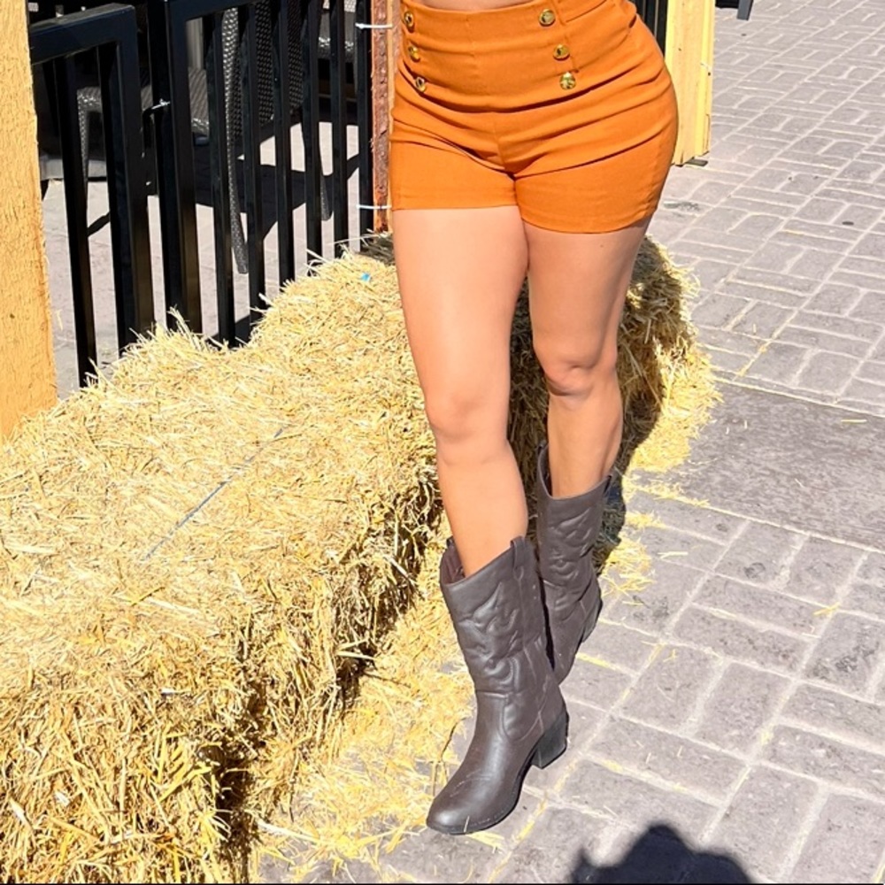 Brown cowboy boots size 10